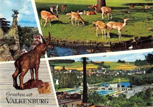 GG13306 Netherlands Groeten uit Valkenburg Park Statue Schwimmbad, Animals Deer