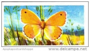 Brooke Bond Tea British Butterflies No 9 Small Heath