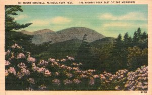 Vintage Postcard 1954 Mount Michelle Highest Peak East of Mississippi Asheville