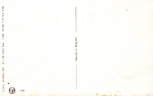 Dressed Cats Picnic Mainzer BIN