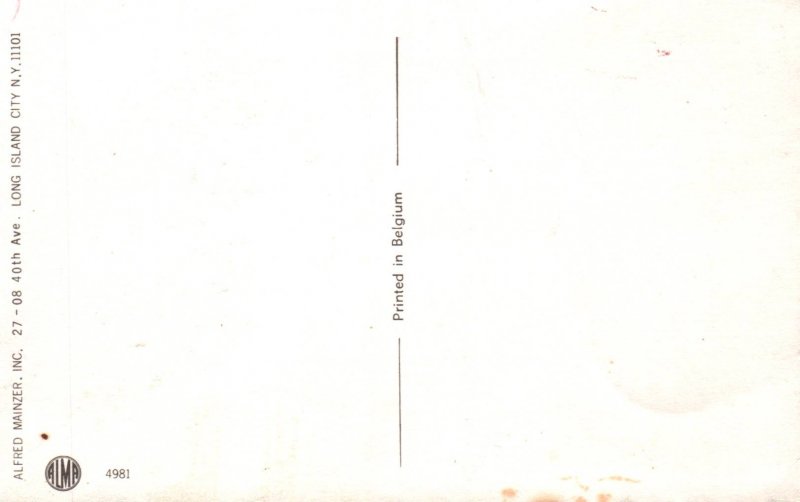 Dressed Cats Picnic Mainzer BIN