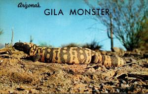 Arizona's Gila Monster