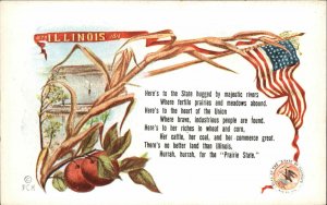 Illinois American Flag Poet Poetry Patriotic Border c1910 Vintage Postcard