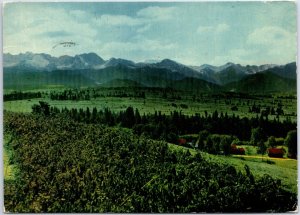 VINTAGE POSTCARD CONTINENTAL SIZE VIEW OF GALICIAN VINEYARD AT TATRY POLAND 1963