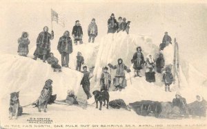 The Far North Behring Sea 1901 Nome, Alaska Dog Sled Team Vintage Postcard