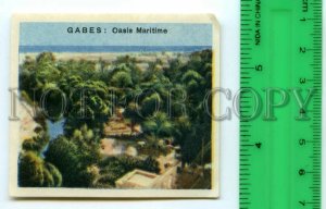 500262 Tunisia GABES Vintage match label