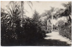 Real Photo Postcard Gardens at The Warrens in San Diego, California~106930