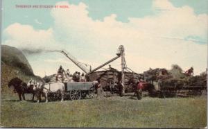 Thresher & Stacker at Work Farming Canadian Prairies c1913 Postcard E25 *As Is