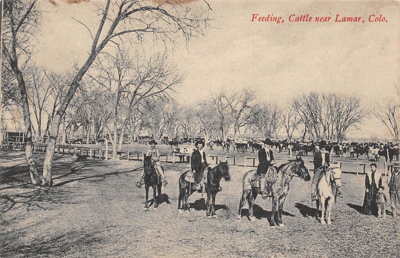 Lamar Colorado Feeding Cattle Scene, B/W Lithograph Vintage Postcard U7140