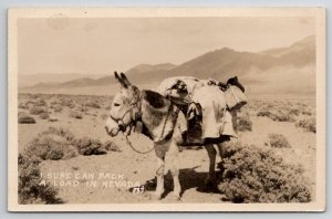 Donkey In The Desert I Sure Can Pack A Load In Nevada RPPC Postcard L28
