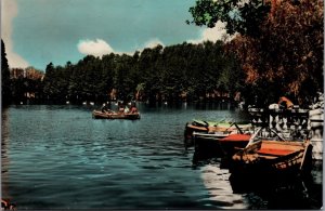 Spain Puigcerda The Lake Lago de Puigcerdá Vintage RPPC C024