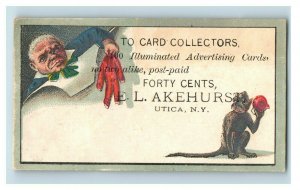 1870s-80s Illuminated Advertising Cards E.L Akehurst Owl Bird Dog Lot Of 6 P201 