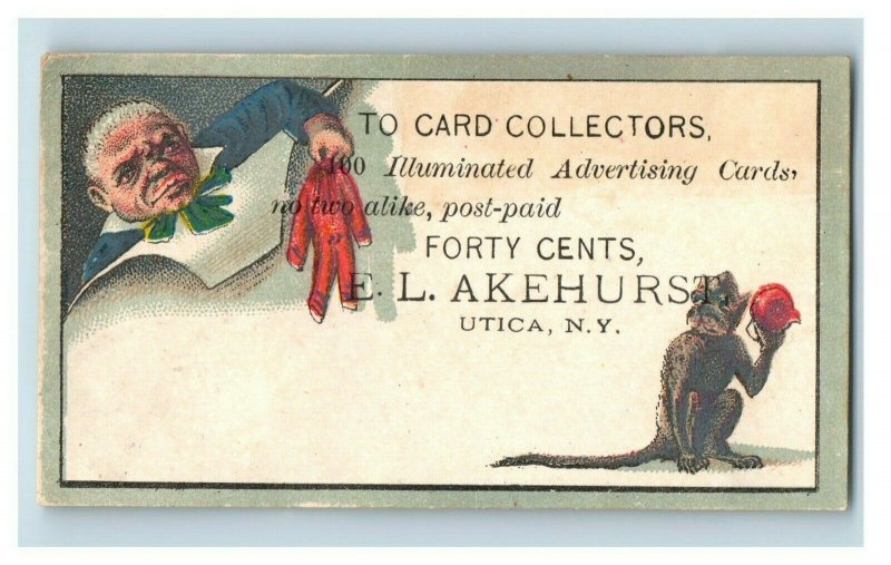 1870s-80s Illuminated Advertising Cards E.L Akehurst Owl Bird Dog Lot Of 6 P201 