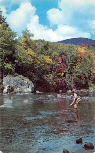 TN, Tennessee  SMITHVILLE Greetings FLY FISHING~FISHERMAN Dekalb County Postcard