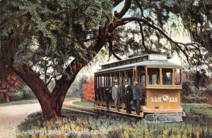San Antonio Texas Old Tree River Avenue Trolley Vintage Postcard AA34205