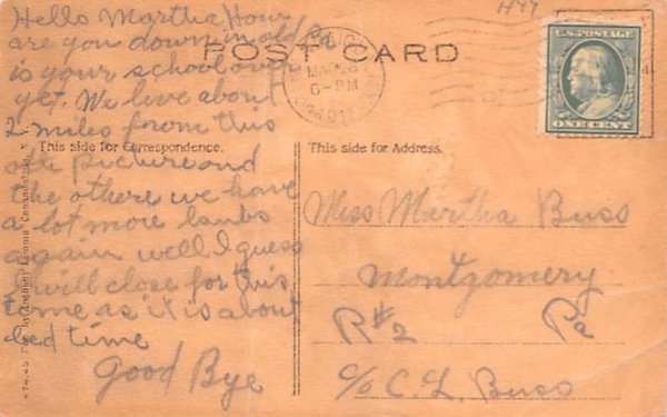 Park Hurst Cove Canandaigua, New York Postcard