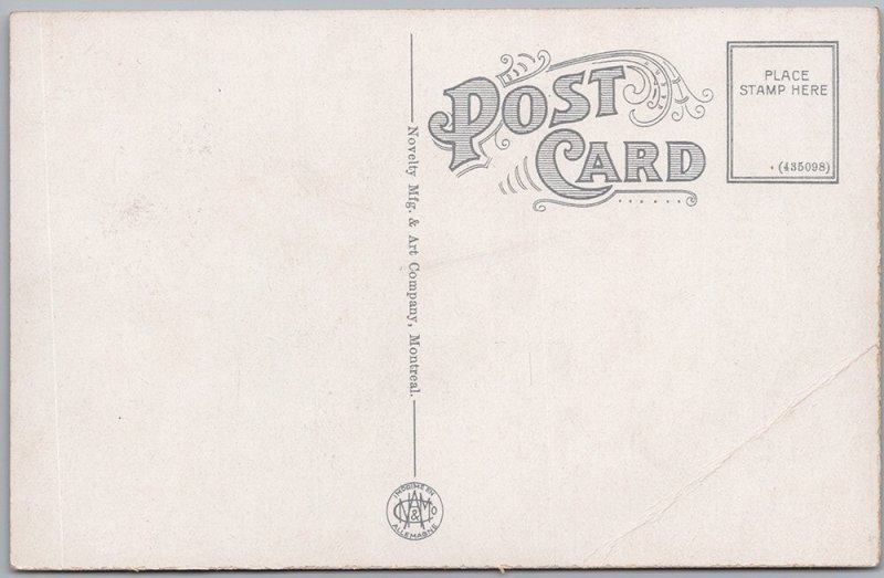 Crescent Park Moose Jaw SK Canada Lithograph Postcard H81