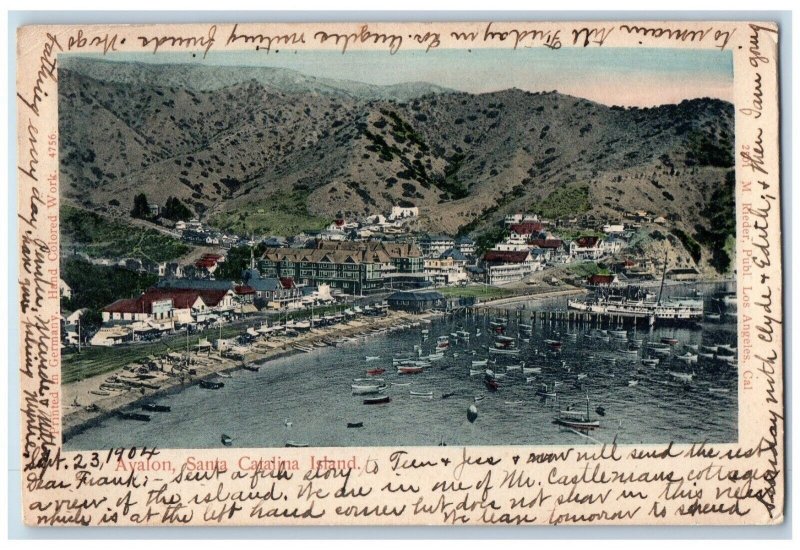 1904 Bird's Eye View Of Avalon Santa Catalina Island California CA Postcard