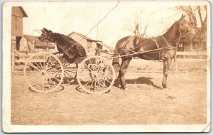 VINTAGE POSTCARD HORSE PULLING A CART WITH INJURED BEAST REAL PHOTO RPPC CREASES