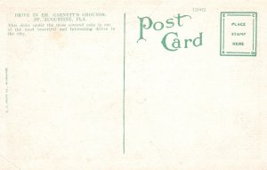 Vintage Postcard Drive Under Moss Dr. Garnett's Grounds St. Augustine Florida 