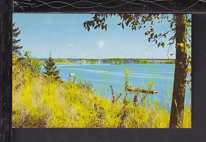 Miramichi River,Newcastle,NB,Canada Postcard BIN 