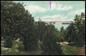 Alont the Thousand Islands, St. Lawrence River, Canada