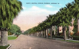 Vintage Postcard North Central Avenue Palms Phoenix Arizona Strong News Agency