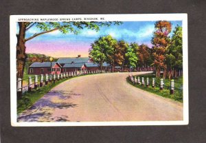 ME Maplewood Spring Camps Bingham Maine Postcard