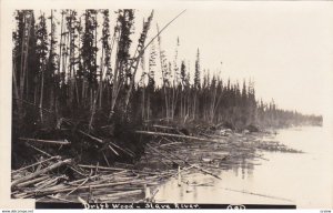 RP: Driftwood , Slave River , N.W.T. , Canada , 10-20s