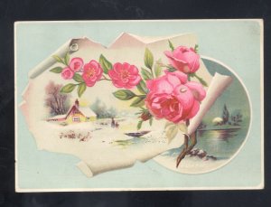 TOLEDO OHIO WOOLSON SPICE COMPANY LION COFFEE PINK FLORAL VICTORIAN TRADE CARD