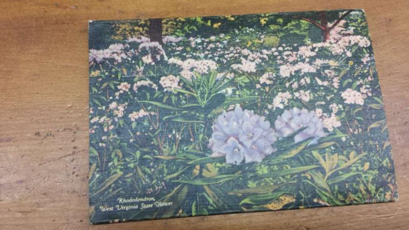 Souvenir Foldout West Virginia Scenic Views Linen Antique Postcard K16530