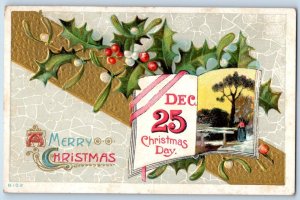 Rush City MN Postcard Christmas Dec 25 Holly Berries Mistletoe Embossed c1910's