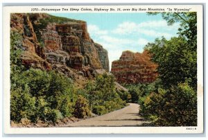 c1940 Picturesque Ten Sleep Canon Big Horn Mountains Wyoming WY Vintage Postcard