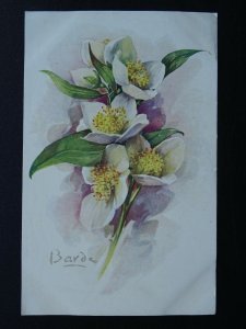 Flower HELLEBORE HYBRIDE - Old French Postcard