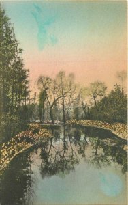 Albertype Charleston South Carolina Cypress Gardens Postcard hand colored 4032