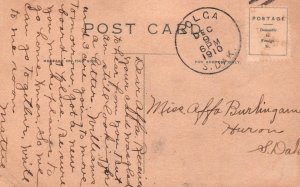 Girl With Daisy Bonnet