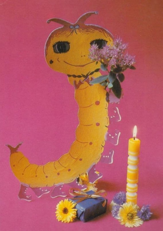German Caterpillar With Flowers Centipede Giant Toy Germany Postcard