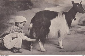 Maltese Milk Seller , MALTA , 00-10s