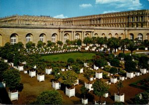 France Versailles Palace L'Orangerie Gardens