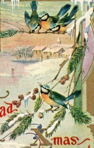 c.1910 Lovely Blue Jay Bird Christmas Church Scene Vintage Postcard unposted