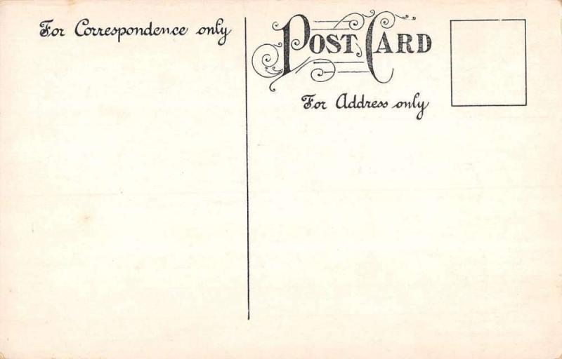 Brookline Massachusetts Public Library Exterior Antique Postcard K21858