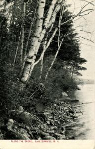 NH - Lake Sunapee. Along the Shore