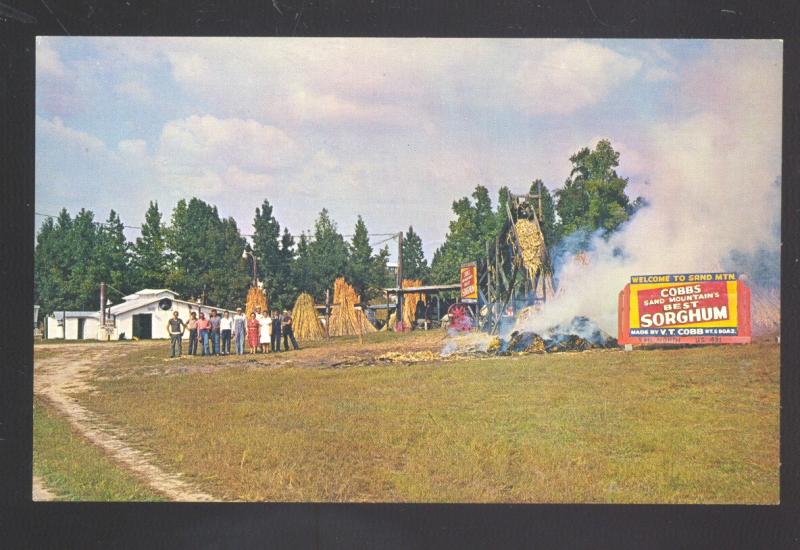 BOAZ ALABAMA PURE SAND MOUNTAIN SORGHUM FARMING VINTAGE POSTCARD