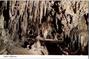 Kings Highway Carlsbad Caverns National Park New Mexico Postcard.