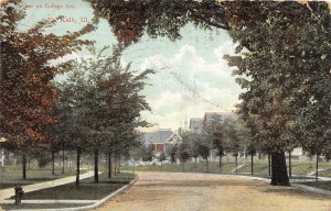 G88/ DeKalb Illinois Postcard 1911 College Avenue Homes