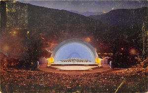 World Famous Hollywood Bowl Hollywood CA