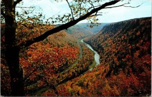 Colton Point Lookout Scenic Pennsylvania Grand Canyon Chrome Cancel WOB Postcard 