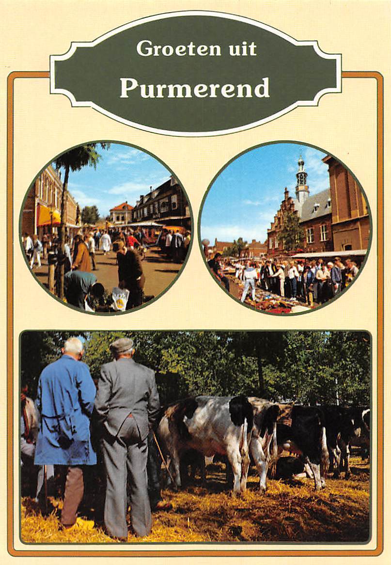 auteursrechten leerling Kangoeroe Netherlands Groeten uit Purmerend Market Place Marche Cows | Europe -  Netherlands - Noord-Holland - Purmerend, Postcard / HipPostcard