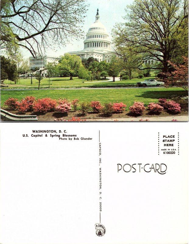 U.S. Capitol & Spring Blossoms, Washington D.C.