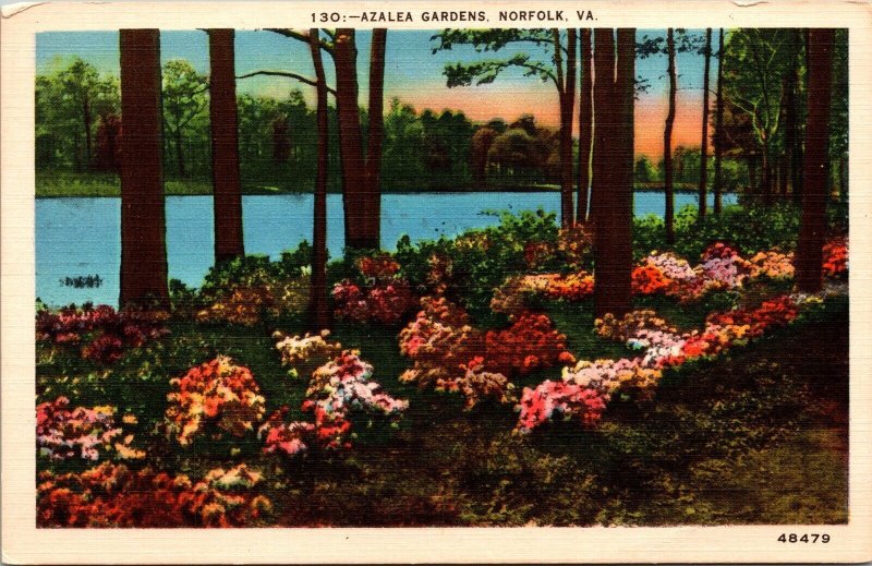 Norfolk Virginia Azalea Gardens Scenic Forest Landscape Linen Postcard